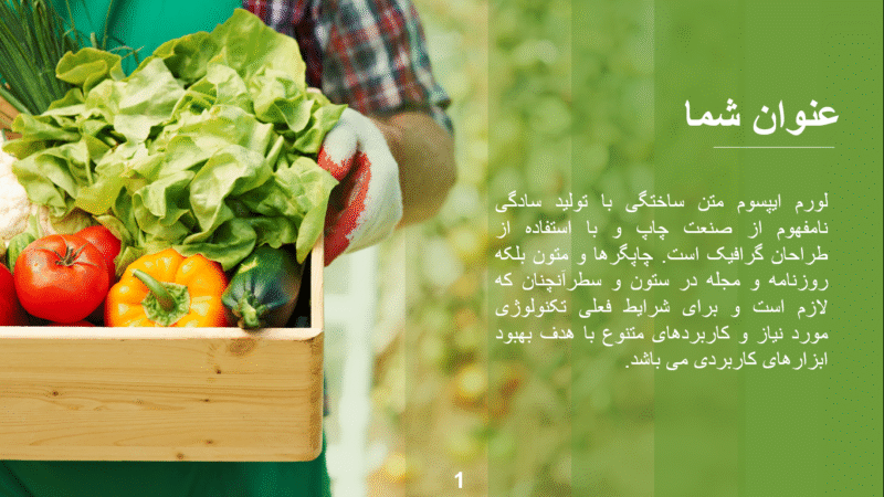 صفحه اصلی