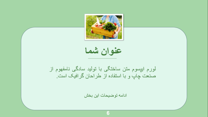 صفحه توضیحات3