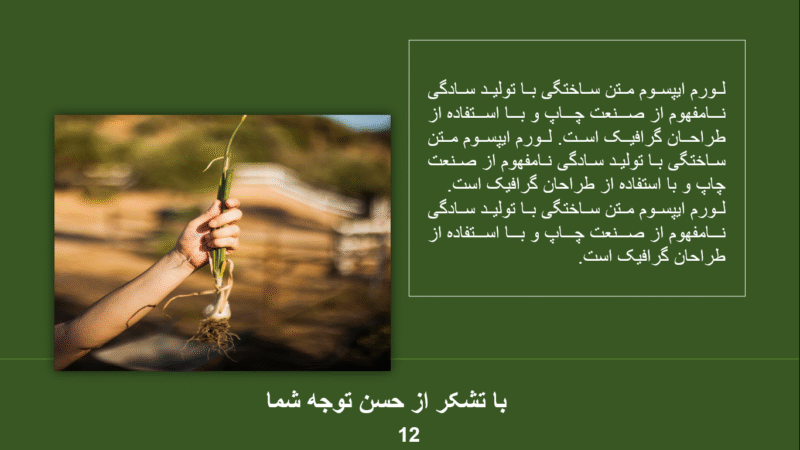 صفحه تشکر2