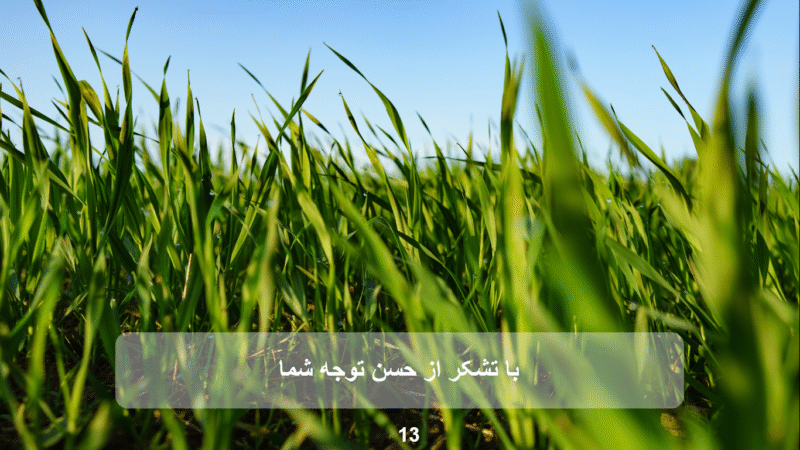 صفحه تشکر